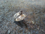 zilver, goud, granaat in chaton